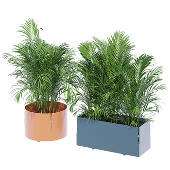 现代植物盆栽3d模型下载