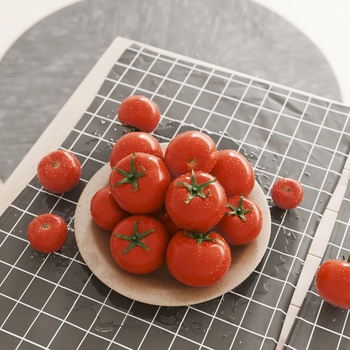 SONIC CHAIR 现代水果果盘3d模型