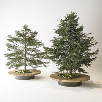  松树3d模型