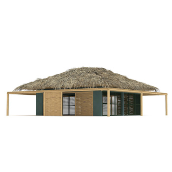 热带木制茅草屋顶平房