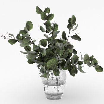 nature 植物花瓶