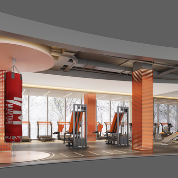 赛拉维设计 现代健身房3d模型
