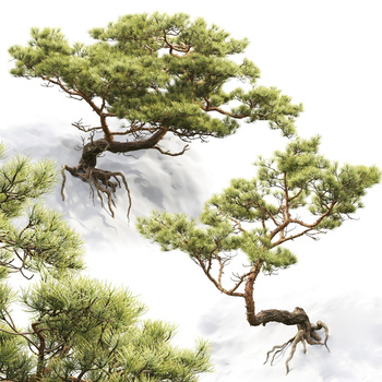 现代松树盆栽3d模型