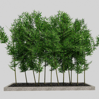 现代竹子景观su模型下载