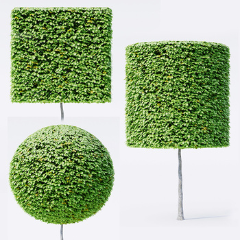 >同款现货购买同款现代灌木3d模型下载id:109203956灯光:材质:风格:面