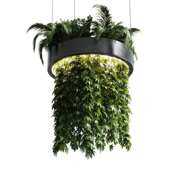 植物吊灯