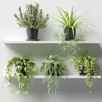 现代室内植物盆栽植物架su模型