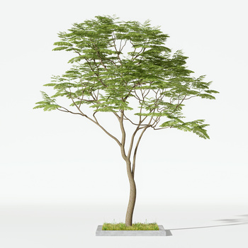  树木绿植模型
