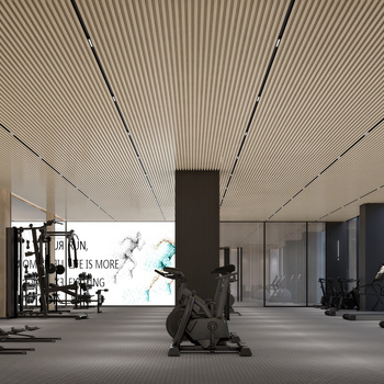 上海如墨设计 现代健身房3d模型