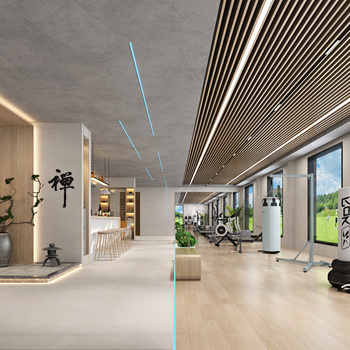 新中式健身房3d模型