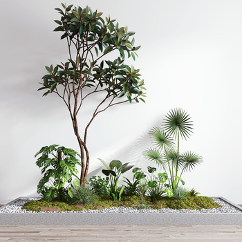 现代植物景观3d模型