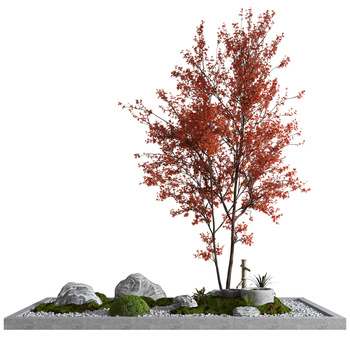 新中式枫树景观3d模型