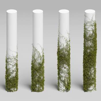 爬藤植物3d模型