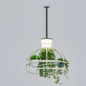 现代植物吊灯3d模型