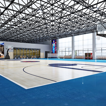 现代室内篮球场3d模型