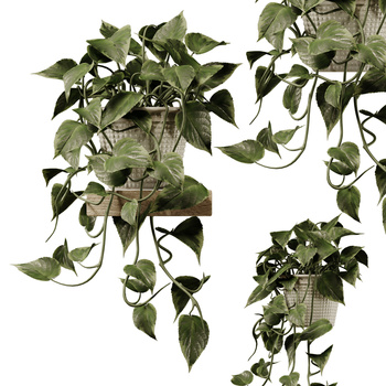 藤曼植物3d模型