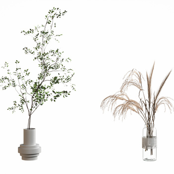 现代植物花瓶摆件3d模型