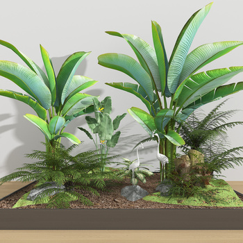 植物组合 芭蕉树 景观小品 天井景观