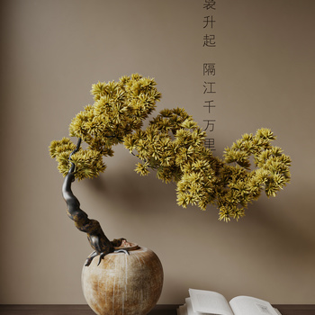 松树盆栽3d模型