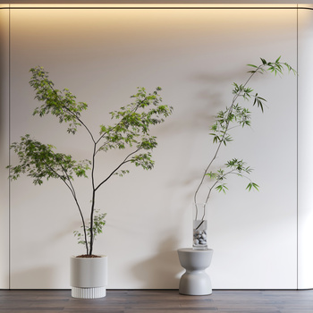 凤尾竹盆栽3d模型