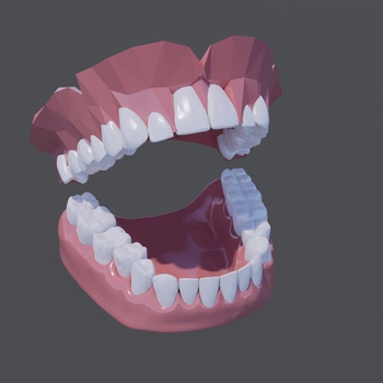 牙齿模型道具