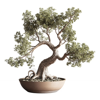 盆栽景观树3d模型