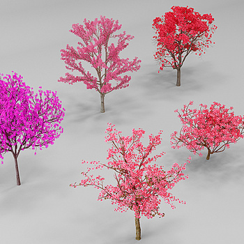 樱花树桃树3d模型