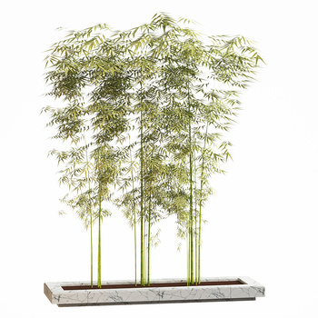 竹子盆栽3d模型