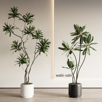 盆栽植物3d模型