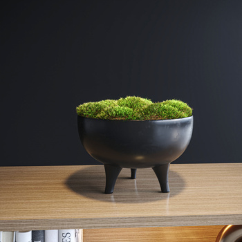 苔藓盆景3d模型