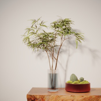  植物 3d模型