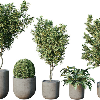 植物盆栽3d模型