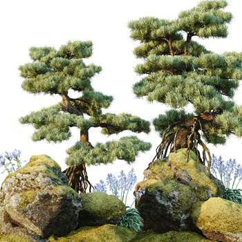 植物盆景3d模型