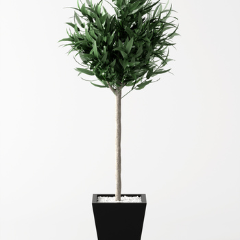 绿植盆栽3d模型