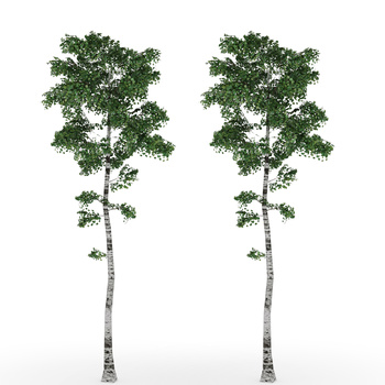 绿色植物 乔木3d模型