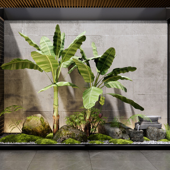 现代室内植物景观小品