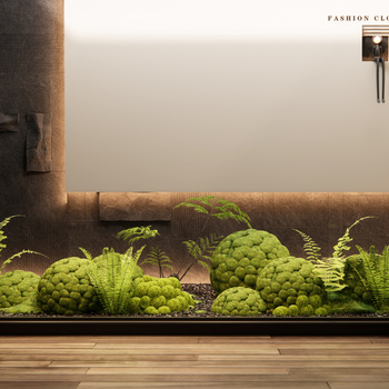 现代苔藓球室内植物造景