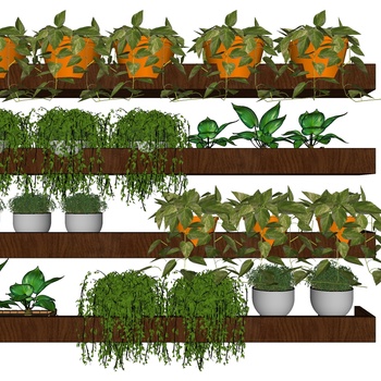 现代装饰植物盆栽