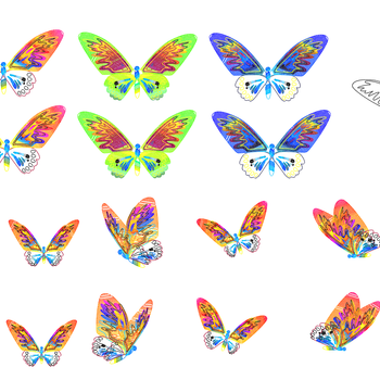创炫彩蝴蝶花朵CAD图库