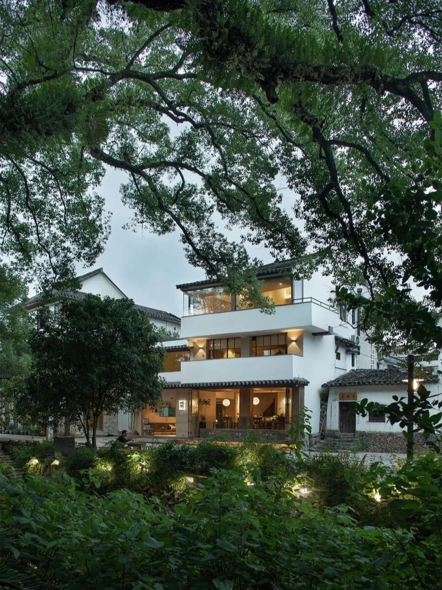 时上建筑空间设计 | 樟宿 |250 ㎡ 丽水千年樟树下的琉璃光影茶文化空间