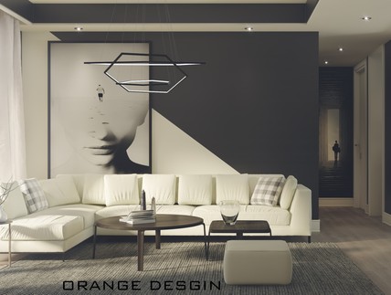 黑与白——Orange Desginer