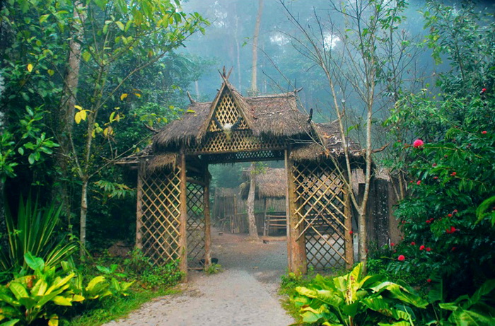 基诺族原木房传统的房屋一般由6根直通屋顶的高柱和几十根质地