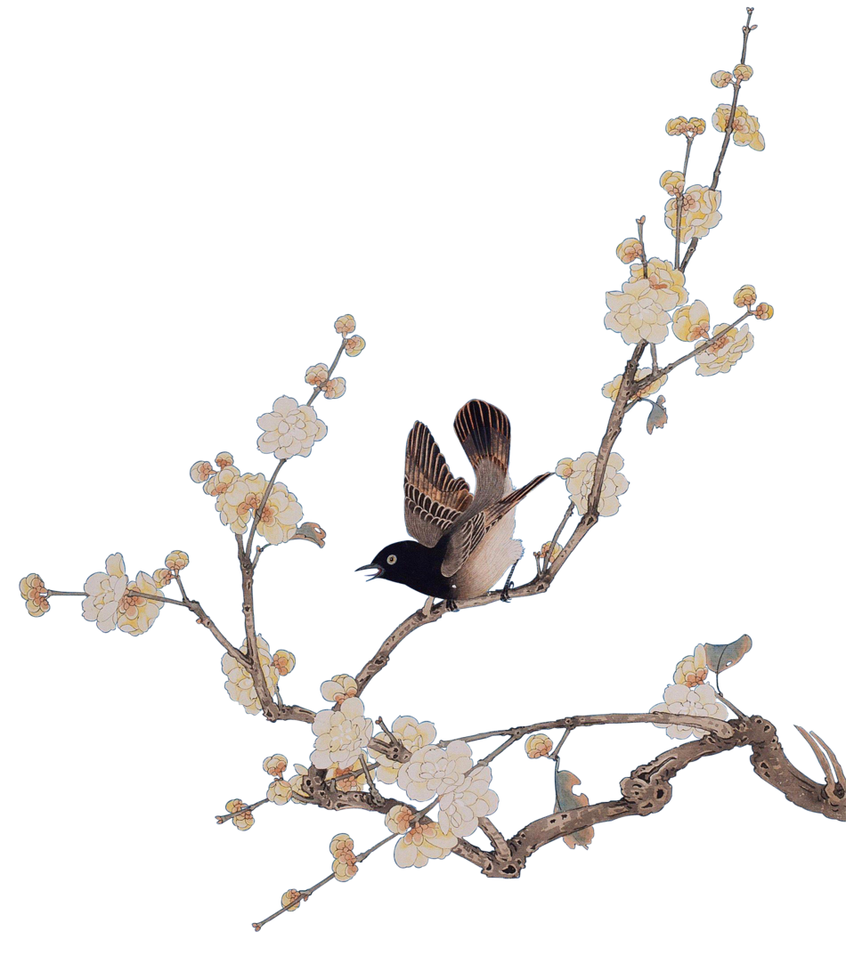 新中式花鸟元素