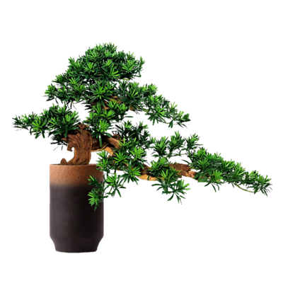 新中式松树植物盆栽