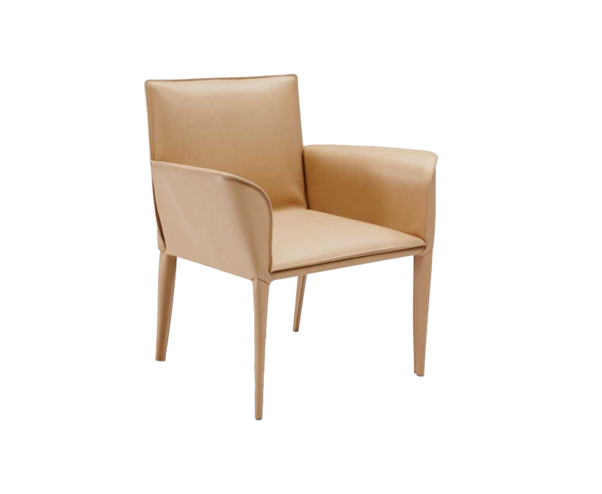 natuzzi现代棕色餐椅