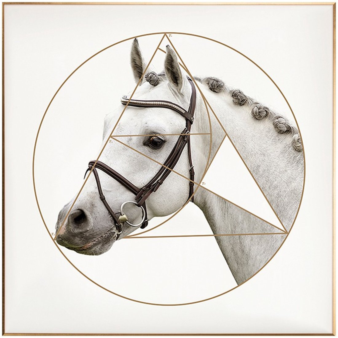 简约几何马艺术挂画
