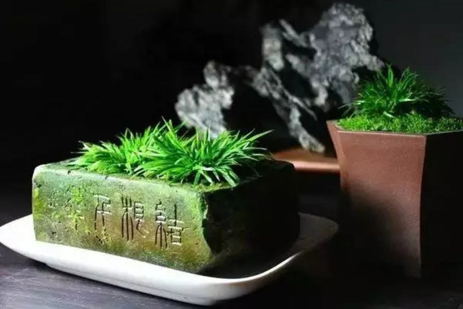 《浮生六记》里头芸娘就将菖蒲子放在炭上,然后拿米汤养,成盘后放在案