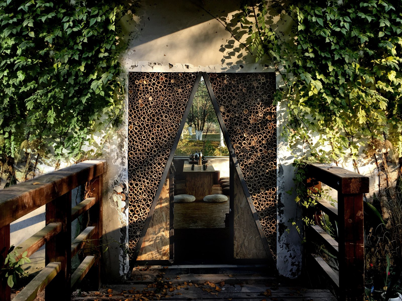 沐心茶室|引景入内