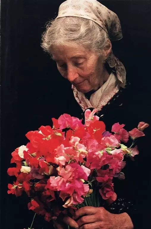 她叫塔莎·杜朵,是美国著名绘本作家,插画家.