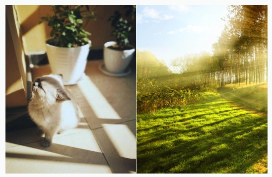 1594367770321868.jpg {3937EDBC-814F-435E-9445-E83FBECC72A3}_20200710155521.jpg